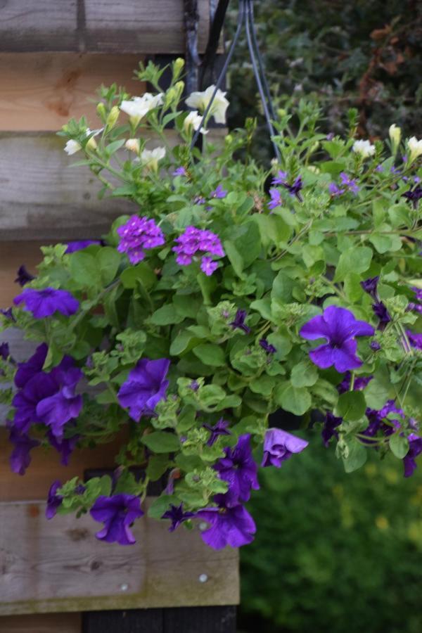 Huisje Onder De Linden Munnekeburen ภายนอก รูปภาพ